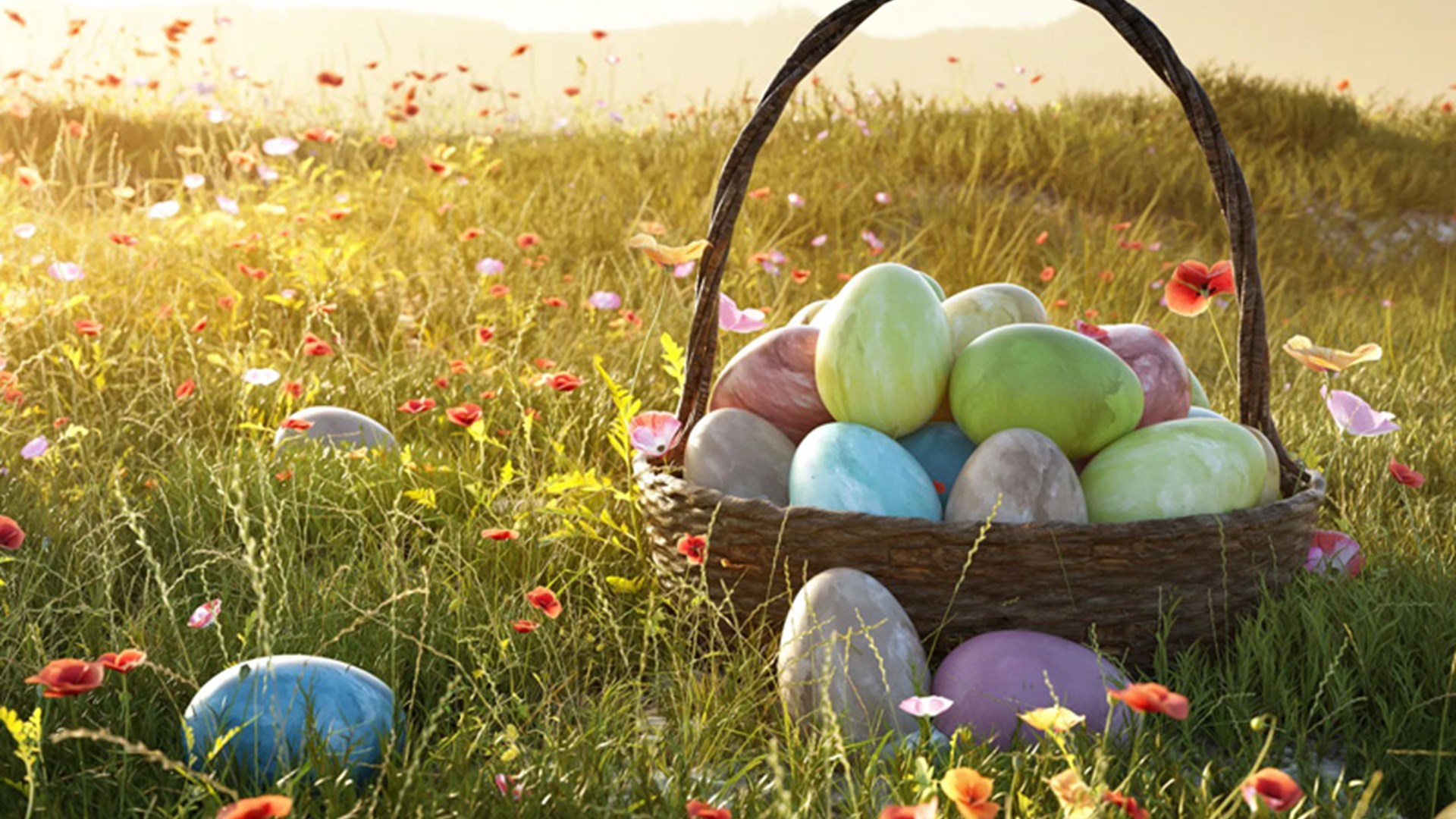 Easter Egg Hunt