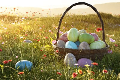 Easter Egg Hunt - Held Indoors!