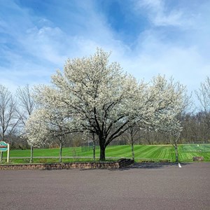 West Branch Park