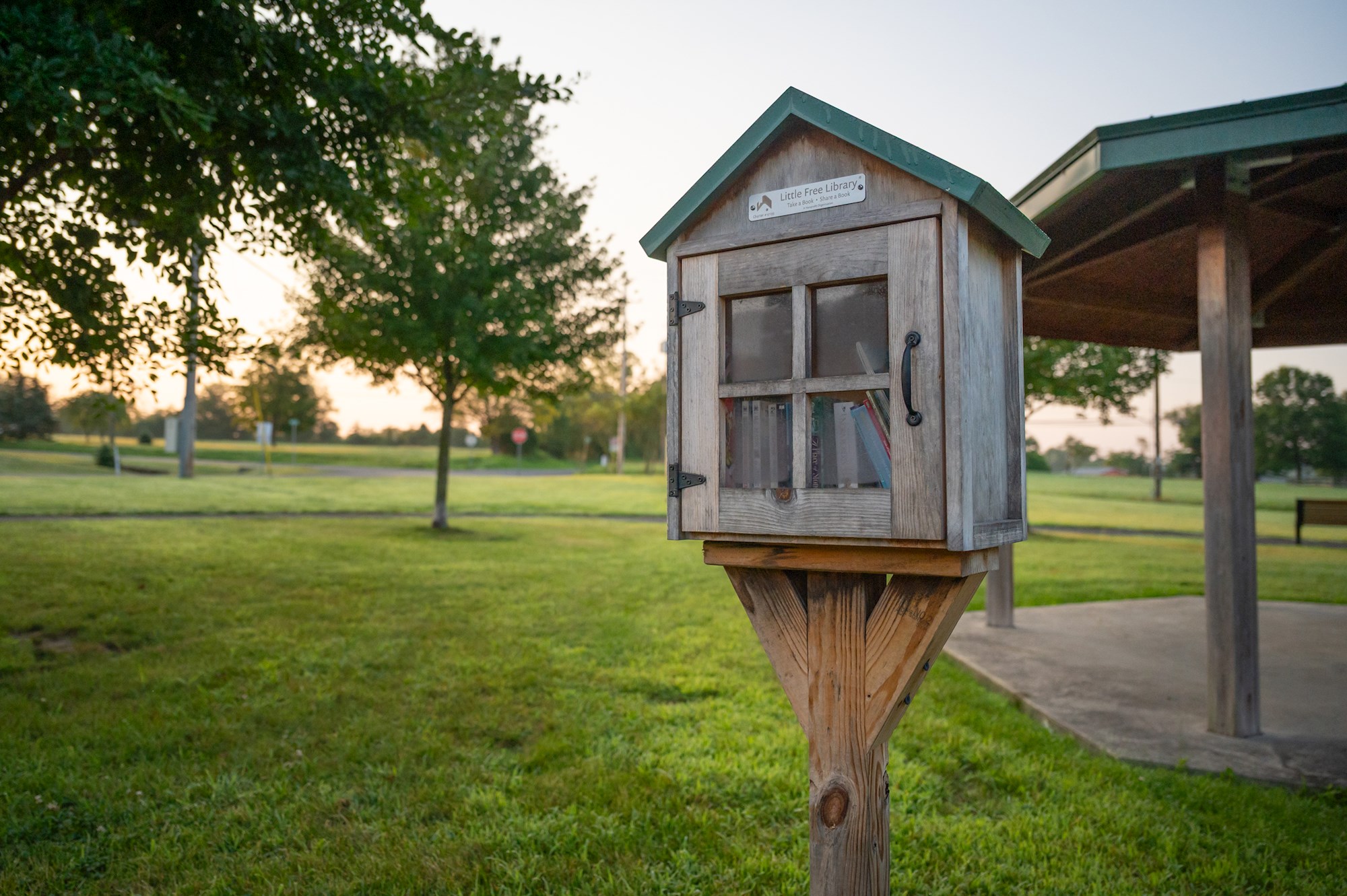 Ready to View: Volume 1 - 2026 Newsletter