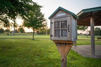 Ready to View: Volume 1 - 2026 Newsletter