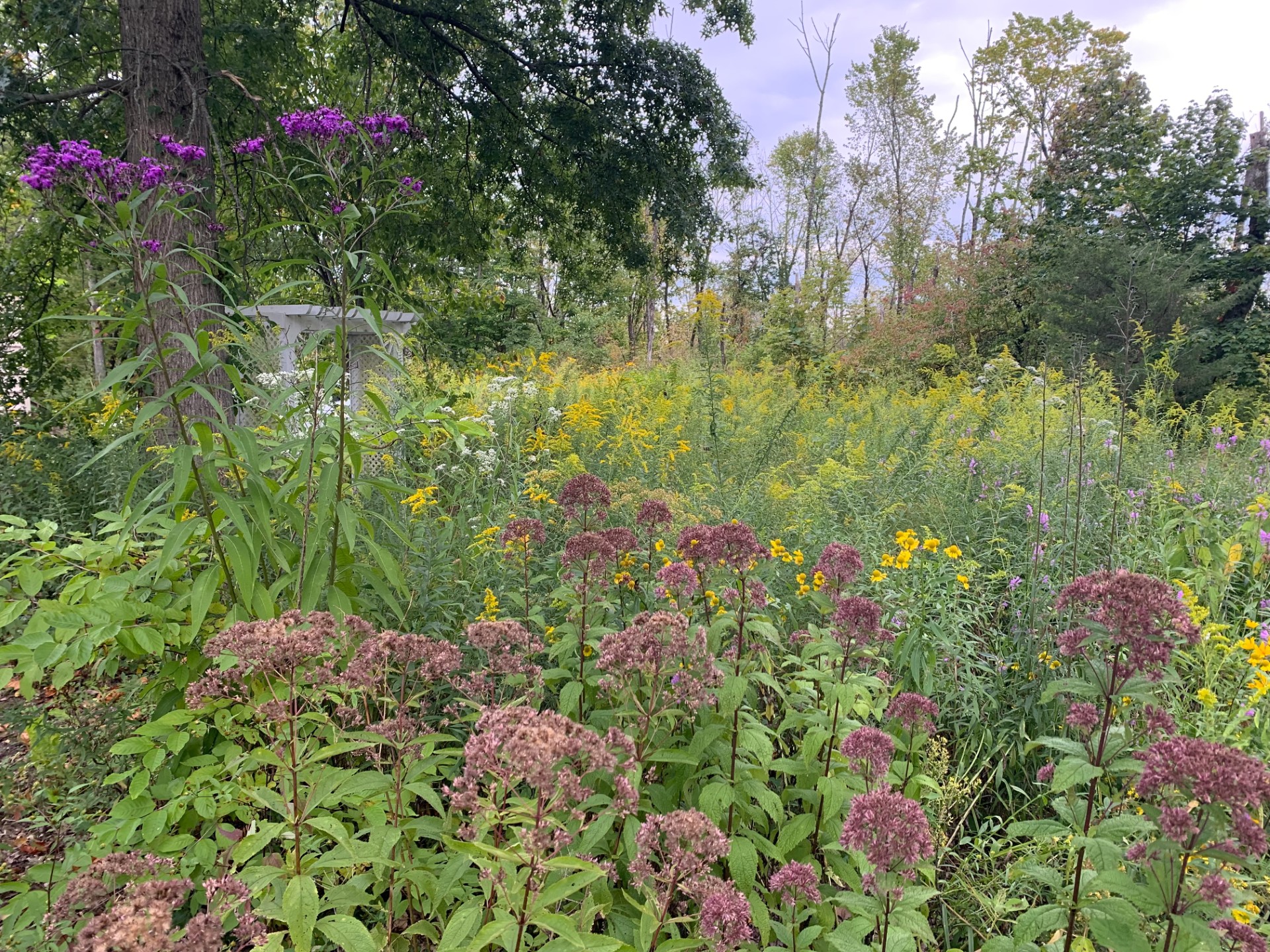Native Plant Demonstration Hosted By Our EAC!