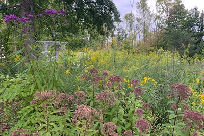 Native Plant Demonstration Hosted By Our EAC!