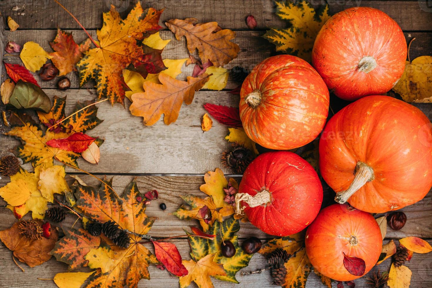 Annual Fall Festival - Sept. 19th!